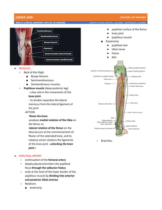 LOWER LIMB LDCUCOM: 1ST YEAR MED
SNELL’S CLINICAL ANATOMY 10TH ED. BY REGIONS CREDITS: PULIDO, ZARTIGA , GILLAMAC, ARITRANGCO, CALAMBA
● MUSCLES
○ Back of the thigh:
■ Biceps femoris
■ Semimembranosus
■ Semitendinosus muscles.
○ Popliteus muscle (deep posterior leg)
- a key role in the movements of the
knee joint.
- its tendon separates the lateral
meniscus from the lateral ligament of
the joint
- ACTION:
-flexes the knee
-produce medial rotation of the tibia on
the femur or,
-lateral rotation of the femur on the
tibia (occurs at the commencement of
flexion of the extended knee, and its
rotatory action slackens the ligaments
of the knee joint - unlocking the knee
joint.)
● POPLITEAL ARTERY
○ continuation of the femoral artery
○ deeply placed and enters the popliteal
fossa through the adductor hiatus
○ ends at the level of the lower border of the
popliteus muscle by dividing into anterior
and posterior tibial arteries
○ Relations
■ Anteriorly:
● popliteal surface of the femur
● knee joint
● popliteus muscle
■ Posteriorly:
● popliteal vein
● tibial nerve
● Fascia
● Skin
○ Branches:
 