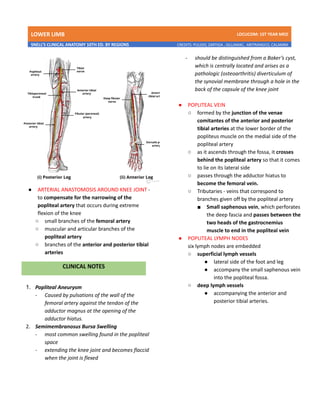 LOWER LIMB LDCUCOM: 1ST YEAR MED
SNELL’S CLINICAL ANATOMY 10TH ED. BY REGIONS CREDITS: PULIDO, ZARTIGA , GILLAMAC, ARITRANGCO, CALAMBA
● ARTERIAL ANASTOMOSIS AROUND KNEE JOINT -
to compensate for the narrowing of the
popliteal artery that occurs during extreme
flexion of the knee
○ small branches of the femoral artery
○ muscular and articular branches of the
popliteal artery
○ branches of the anterior and posterior tibial
arteries
1. Popliteal Aneurysm
- Caused by pulsations of the wall of the
femoral artery against the tendon of the
adductor magnus at the opening of the
adductor hiatus.
2. Semimembranosus Bursa Swelling
- most common swelling found in the popliteal
space
- extending the knee joint and becomes flaccid
when the joint is flexed
- should be distinguished from a Baker’s cyst,
which is centrally located and arises as a
pathologic (osteoarthritis) diverticulum of
the synovial membrane through a hole in the
back of the capsule of the knee joint
● POPLITEAL VEIN
○ formed by the junction of the venae
comitantes of the anterior and posterior
tibial arteries at the lower border of the
popliteus muscle on the medial side of the
popliteal artery
○ as it ascends through the fossa, it crosses
behind the popliteal artery so that it comes
to lie on its lateral side
○ passes through the adductor hiatus to
become the femoral vein.
○ Tributaries - veins that correspond to
branches given off by the popliteal artery
■ Small saphenous vein, which perforates
the deep fascia and passes between the
two heads of the gastrocnemius
muscle to end in the popliteal vein
● POPLITEAL LYMPH NODES
six lymph nodes are embedded
○ superficial lymph vessels
● lateral side of the foot and leg
● accompany the small saphenous vein
into the popliteal fossa.
○ deep lymph vessels
● accompanying the anterior and
posterior tibial arteries.
 