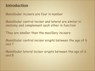 Introduction
Mandibular incisors are four in number
Mandibular central incisor and lateral are similar in
anatomy and complement each other in function
They are smaller than the maxillary incisors
Mandibular central incisor erupts between the age of 6
and 7
Mandibular lateral incisor erupts between the age of 6
and 8
 