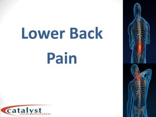 Lower Back Pain  