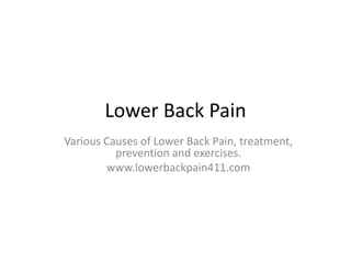 Lower Back Pain Various Causes of Lower Back Pain, treatment, prevention and exercises. www.lowerbackpain411.com 