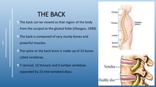 THE BACK
¶ The back can be viewed as that region of the body
from the occiput to the gluteal folds (Olaogun, 1999)
¶ The back is composed of very sturdy bones and
powerful muscles.
¶ The spine or the back bone is made up of 33 bones
called vertebrae.
¶ 7 cervical, 12 thoracic and 5 lumbar vertebrae
separated by 23 intervertebral discs.
 