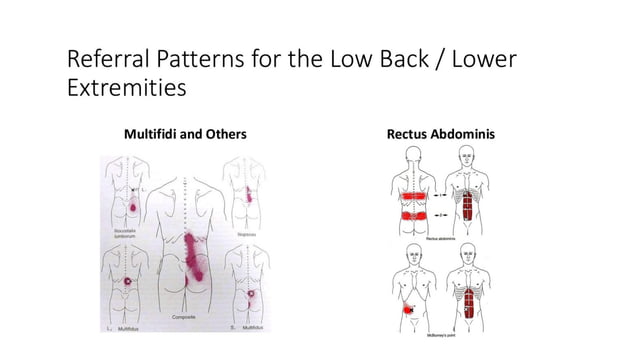 lower back pain tests for patients with back pain.pptx