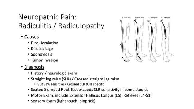 lower back pain tests for patients with back pain.pptx