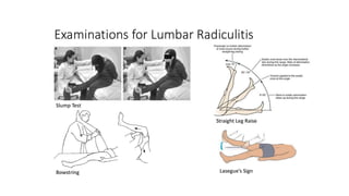 lower back pain tests for patients with back pain.pptx