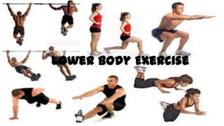 Lower Body Exercise
 