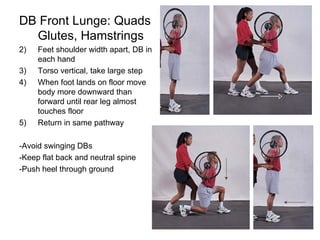 Lower Body Exercises | PPT