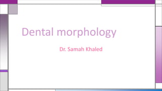 Dental morphology
Dr. Samah Khaled
 