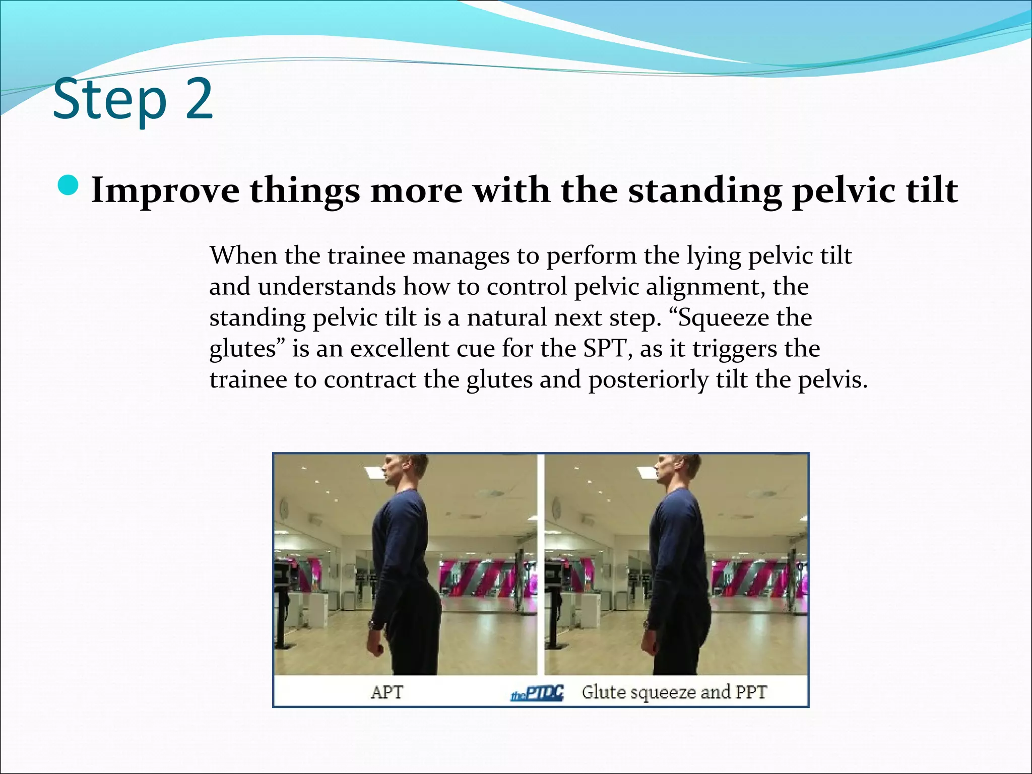 Lower cross syndrome | PPT