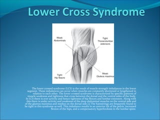The lower crossed syndrome (LCS) is the result of muscle strength imbalances in the lower
segment. These imbalances can occur when muscles are constantly shortened or lengthened in
relation to each other. The lower crossed syndrome is characterized by specific patterns of
muscle weakness and tightness that cross between the dorsal and the ventral sides of the body.
In LCS there is over activity and hence tightness of hip flexors and lumbar extensors. Along with
this there is under activity and weakness of the deep abdominal muscles on the ventral side and
of the gluteus maximus and medius on the dorsal side.[1] The hamstrings are frequently found to
be tight in this syndrome as well. This imbalance results in an anterior tilt of the pelvis, increased
flexion of the hips, and a compensatory hyperlordosis in the lumbar spine.
 