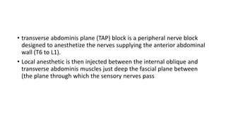Transverse Blocking Lower extrimity blocks | PPTX