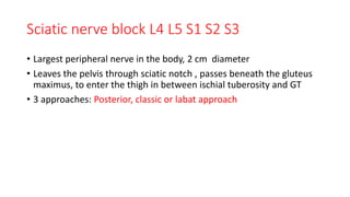 Lower extrimity blocks | PPTX
