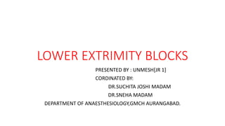 LOWER EXTRIMITY BLOCKS
PRESENTED BY : UNMESH[JR 1]
CORDINATED BY:
DR.SUCHITA JOSHI MADAM
DR.SNEHA MADAM
DEPARTMENT OF ANAESTHESIOLOGY,GMCH AURANGABAD.
 
