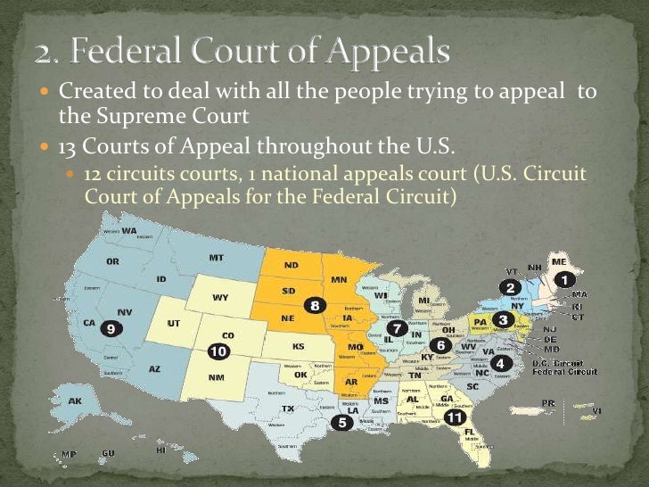 Lower federal courts