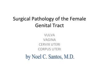 Surgical Pathology of the Female Genital Tract VULVA VAGINA CERVIX UTERI CORPUS UTERI by Noel C. Santos, M.D. 