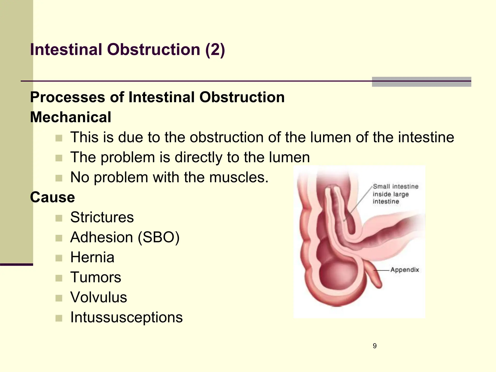 Intestinal Obstruction (2)
Processes of Intestinal Obstruction
Mechanical
 This is due to the obstruction of the lumen of the intestine
 The problem is directly to the lumen
 No problem with the muscles.
Cause
 Strictures
 Adhesion (SBO)
 Hernia
 Tumors
 Volvulus
 Intussusceptions
9
 