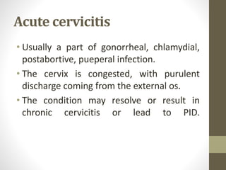 Acute cervicitis
• Usually a part of gonorrheal, chlamydial,
postabortive, pueperal infection.
• The cervix is congested, with purulent
discharge coming from the external os.
• The condition may resolve or result in
chronic cervicitis or lead to PID.
 