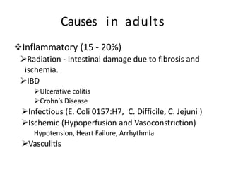 Causes in adults
Inflammatory (15 - 20%)
Radiation - Intestinal damage due to fibrosis and
ischemia.
IBD
Ulcerative colitis
Crohn’s Disease
Infectious (E. Coli 0157:H7, C. Difficile, C. Jejuni )
Ischemic (Hypoperfusion and Vasoconstriction)
Hypotension, Heart Failure, Arrhythmia
Vasculitis
 