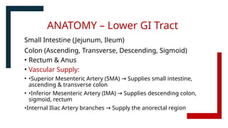 ANATOMY – Lower GI Tract
Small Intestine (Jejunum, Ileum)
Colon (Ascending, Transverse, Descending, Sigmoid)
• Rectum & Anus
• Vascular Supply:
• •Superior Mesenteric Artery (SMA) Supplies small intestine,
→
ascending & transverse colon
• •Inferior Mesenteric Artery (IMA) Supplies descending colon,
→
sigmoid, rectum
•Internal Iliac Artery branches Supply the anorectal region
→
 