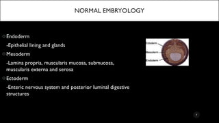 Normal Intestinal Embryology Comprehensive Anatomy and Embryology of the Lower Gastrointestinal ...