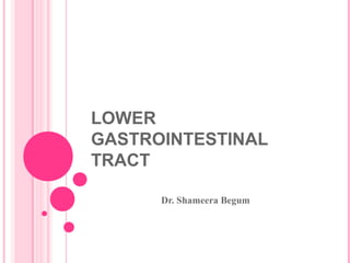LOWER
GASTROINTESTINAL
TRACT
Dr. Shameera Begum
 