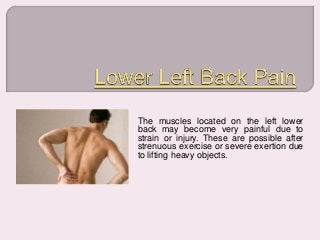 The muscles located on the left lower
back may become very painful due to
strain or injury. These are possible after
strenuous exercise or severe exertion due
to lifting heavy objects.
 