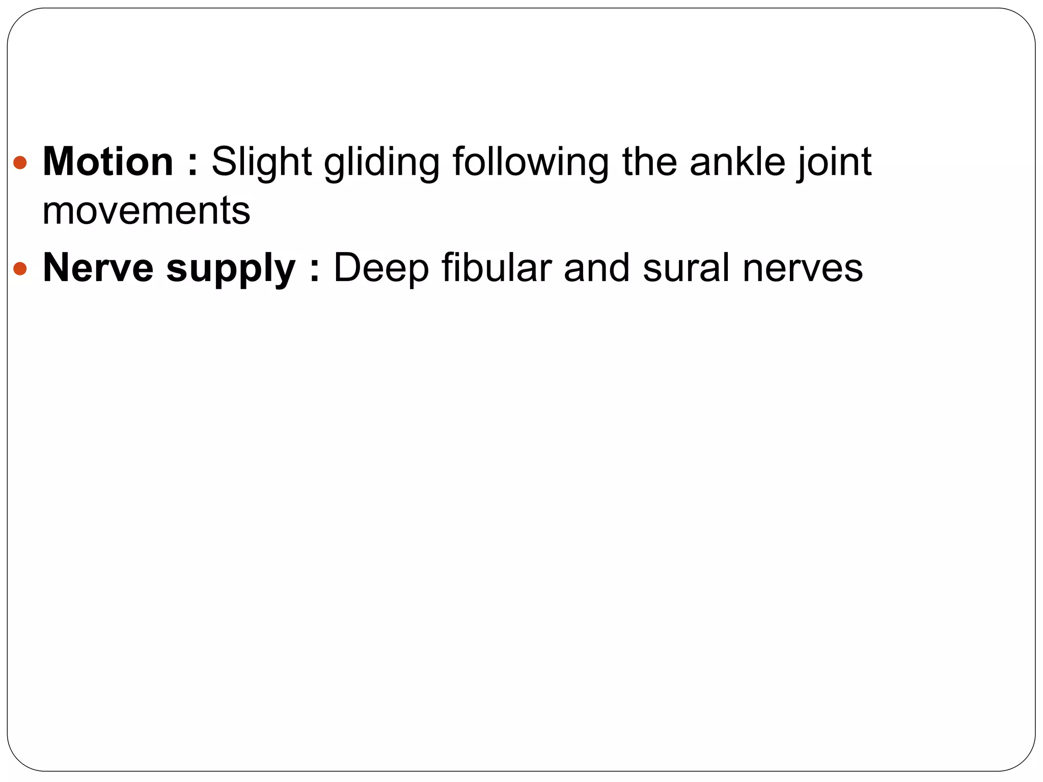 Anatomy of Lower leg, ankle, and foot | PPTX