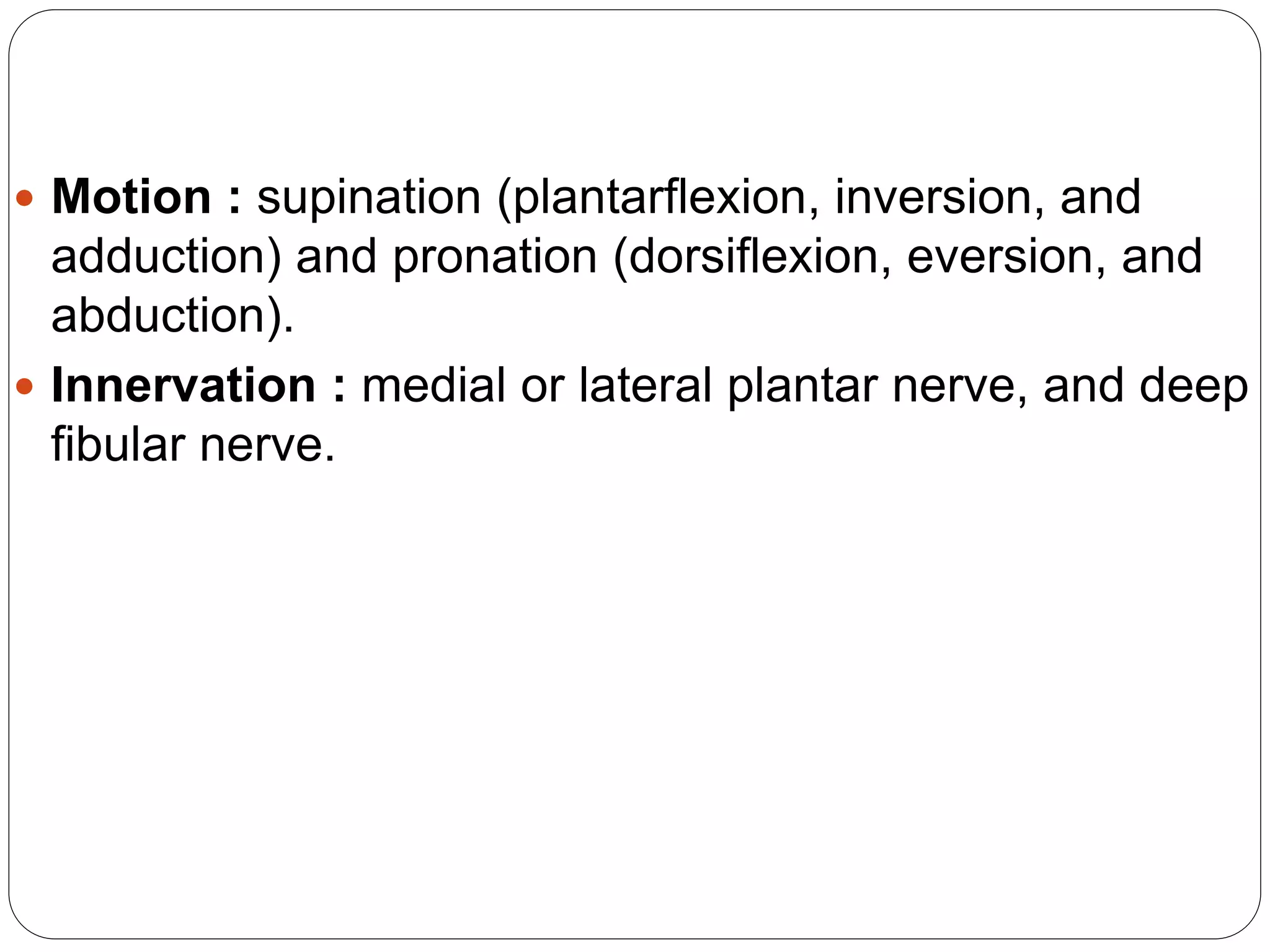Anatomy of Lower leg, ankle, and foot | PPTX