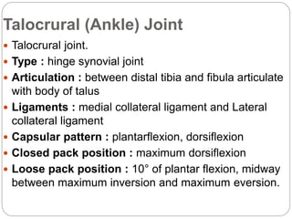 Anatomy of Lower leg, ankle, and foot | PPTX