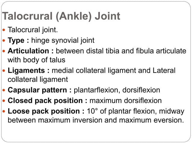 Anatomy of Lower leg, ankle, and foot | PPTX