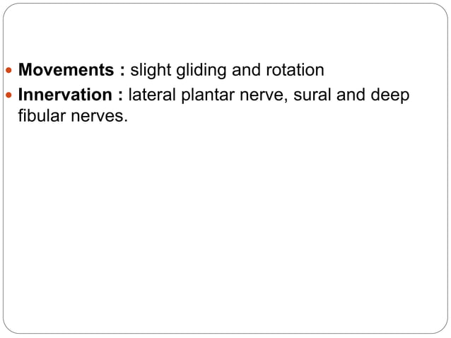 Anatomy of Lower leg, ankle, and foot | PPTX