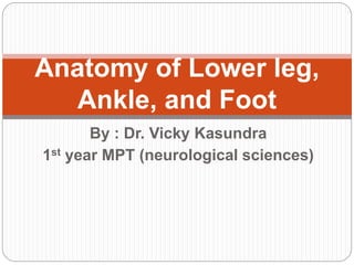By : Dr. Vicky Kasundra
1st year MPT (neurological sciences)
Anatomy of Lower leg,
Ankle, and Foot
 