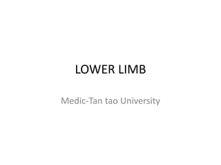 LOWER LIMB 
Medic-Tan tao University  