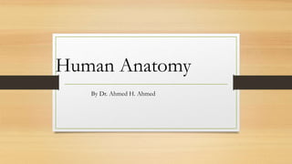 Human Anatomy
By Dr. Ahmed H. Ahmed
 