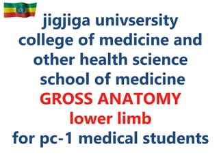 jigjiga univsersity
college of medicine and
other health science
school of medicine
GROSS ANATOMY
lower limb
for pc-1 medical students
 