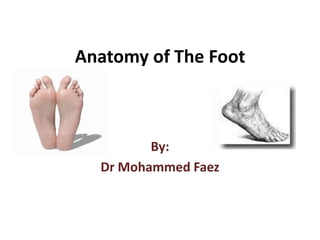 Anatomy of The Foot By: Dr Mohammed Faez 