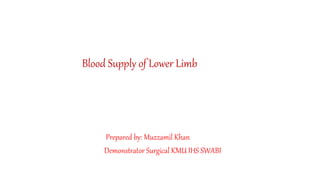 Blood Supply of Lower Limb
Prepared by: Muzzamil Khan
Demonstrator Surgical KMU IHS SWABI
 