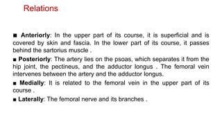 Relations
■ Anteriorly: In the upper part of its course, it is superficial and is
covered by skin and fascia. In the lower part of its course, it passes
behind the sartorius muscle .
■ Posteriorly: The artery lies on the psoas, which separates it from the
hip joint, the pectineus, and the adductor longus . The femoral vein
intervenes between the artery and the adductor longus.
■ Medially: It is related to the femoral vein in the upper part of its
course .
■ Laterally: The femoral nerve and its branches .
 