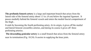 The profunda femoris artery is a large and important branch that arises from the
lateral side of the femoral artery about 1.5 in. (4 cm) below the inguinal ligament . It
passes medially behind the femoral vessels and enters the medial fascial compartment of
the thigh .
It ends by becoming the fourth perforating artery. At its origin, it gives off the medial
and lateral femoral circumflex arteries, and during its course it gives off three
perforating arteries.
The descending genicular artery is a small branch that arises from the femoral artery
near its termination (Fig. 10.24). It assists in supplying the knee joint.
 