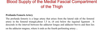 Blood Supply of the Medial Fascial Compartment
of the Thigh
Profunda Femoris Artery
The profunda femoris is a large artery that arises from the lateral side of the femoral
artery in the femoral triangle,about 1.5 in. (4 cm) below the inguinal ligament . It
descends in the interval between the adductor longus and adductor brevis and then lies
on the adductor magnus, where it ends as the fourth perforating artery .
 