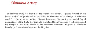 Obturator Artery
The obturator artery is a branch of the internal iliac artery . It passes forward on the
lateral wall of the pelvis and accompanies the obturator nerve through the obturator
canal (i.e., the upper part of the obturator foramen) . On entering the medial fascial
compartment of the thigh, it divides into medial and lateral branches, which pass around
the margin of the outer surface of the obturator membrane. It gives off muscular
branches and an articular branch to the hip joint.
 