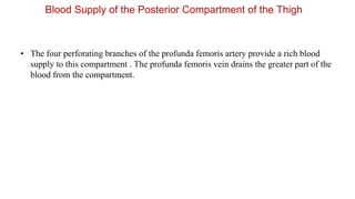 Blood Supply of the Posterior Compartment of the Thigh
• The four perforating branches of the profunda femoris artery provide a rich blood
supply to this compartment . The profunda femoris vein drains the greater part of the
blood from the compartment.
 