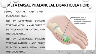 METATARSAL PHALANGEAL DISARTICULATION:
• LONG PLANTAR AND SHORT
DORSAL SKIN FLAP.
• FOR 1ST METATARSAL INCISION
STARTING MEDIALLY AND CURVE IT
DISTALLY OVER THE LATERAL AND
POSTERIOR ASPECT.
• FOR 5TH METATARSAL INCISION
STARTING LATERALLY AND CURVE
IT DISTALLY OVER MEDIAL AND
POSTERIOR ASPECT.
 
