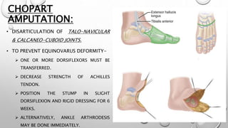 CHOPART
AMPUTATION:
• DISARTICULATION OF TALO-NAVICULAR
& CALCANEO-CUBOID JOINTS.
• TO PREVENT EQUINOVARUS DEFORMITY-
 ONE OR MORE DORSIFLEXORS MUST BE
TRANSFERRED.
 DECREASE STRENGTH OF ACHILLES
TENDON.
 POSITION THE STUMP IN SLIGHT
DORSIFLEXION AND RIGID DRESSING FOR 6
WEEKS.
 ALTERNATIVELY, ANKLE ARTHRODESIS
MAY BE DONE IMMEDIATELY.
 