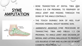 SYME
AMPUTATION
• BONE TRANSECTION AT DISTAL TIBIA AND
FIBULA 0.6 CM PROXIMAL TO PERIPHERY OF
ANKLE JOINT AND PASSING THROUGH THE
DOME OF THE ANKLE CENTRALLY.
• THE TOUGH DURABLE SKIN OF HEEL FLAP
PROVIDES NORMAL WEIGHT BEARING SKIN.
• SARMIENTO MODIFIED SYME PROCEDURE BY
TRANSECTING TIBIA AND FIBULA 1.3 CM
PROXIMAL TO ANKLE JOINT AND EXCISION OF
MEDIAL AND LATERAL MALLEOLUS TO PRODUCE
LESS BULBOUS STUMP AND ALLOW USE OF MORE
COSMETIC PROSTHESIS.
 