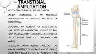 TRANSTIBIAL
AMPUTATION
• MOST COMMON LOWER LIMB AMUTATION.
• ENERGY EXPENDITURE IS AN IMPORTANT
CONSIDERATION IN CHOOSING THE LEVEL OF
AMPUTATION.
• DEPENDING ON ISCHEMIC OR NON-ISCHEMIC
LIMB, LEVEL OF AMPUTATION, CHOICE OF SKIN
FLAP, STABILIZATION TECHNIQUES LIKE MYODESIS
OR MYOPLASTY AND POST OPERATIVE CARE
VARIES.
• IN CASE OF COMBAT INJURIES STANDARD FLAP
MAY BE IMPOSSIBLE. SKIN GRAFT MAY BE USED TO
COVER SOFT TISSUE DEFECT, BUT SKIN GRAFT ARE
 
