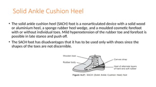 Solid Ankle Cushion Heel
• The solid ankle cushion heel (SACH) foot is a nonarticulated device with a solid wood
or aluminium heel, a sponge rubber heel wedge, and a moulded cosmetic forefoot
with or without individual toes. Mild hyperextension of the rubber toe and forefoot is
possible in late stance and push off.
• The SACH foot has disadvantages that it has to be used only with shoes since the
shapes of the toes are not discernible.
 