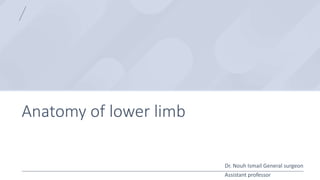 Anatomy of lower limb
Dr. Nouh Ismail General surgeon
Assistant professor
 