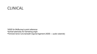 LOWER LIMB ANATOMY as a GROSS ANATOMY TOPIC | PPTX