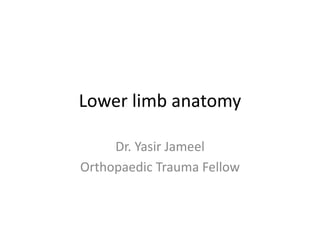 Lower limb anatomy
Dr. Yasir Jameel
Orthopaedic Trauma Fellow
 